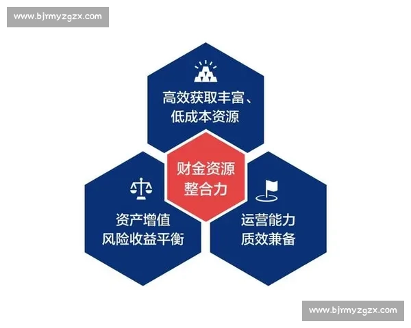 企业融资策略优化与资本结构提升的综合解决方案研究